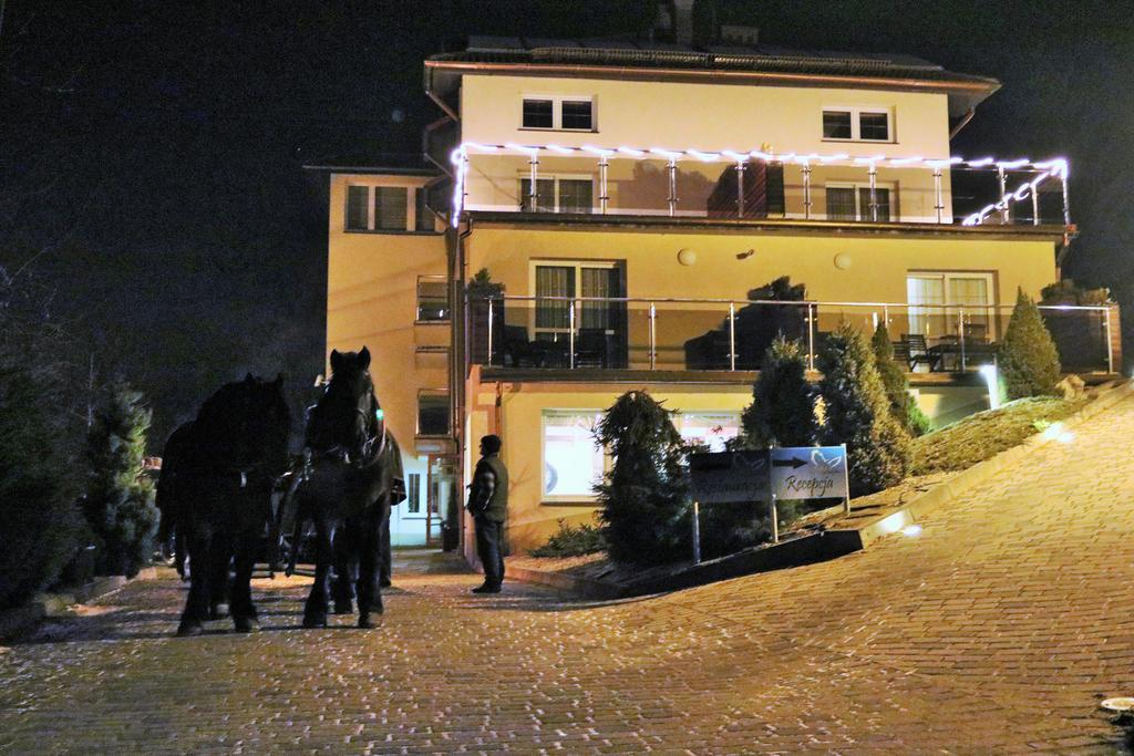 Willa Pod Skrzydlami Hotel Międzybrodzie Bialskie Eksteriør billede